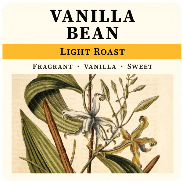 Vanilla Bean