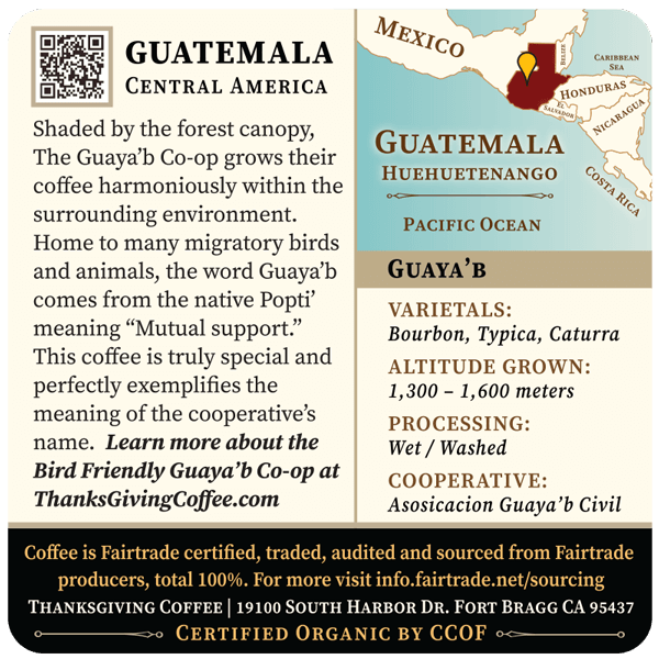 Guatemala - Dark Roast