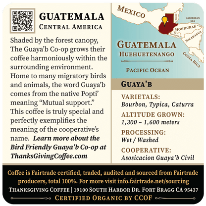 Guatemala - Dark Roast