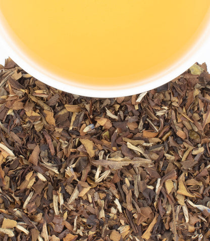 French Macaron, Tin of 20 Sachets