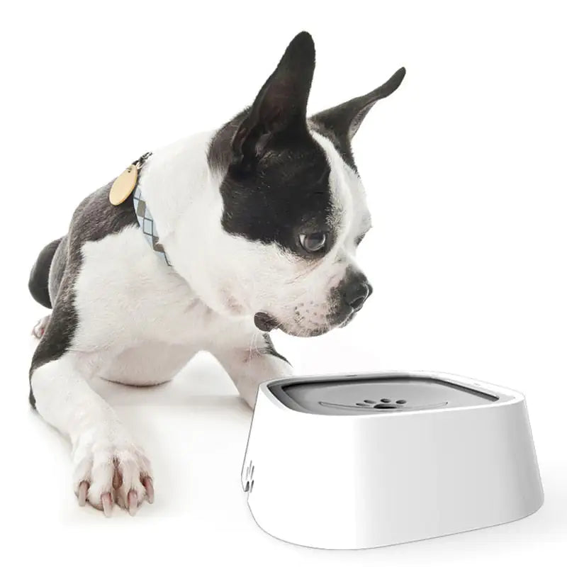 Your Pet Floating Water Bowl