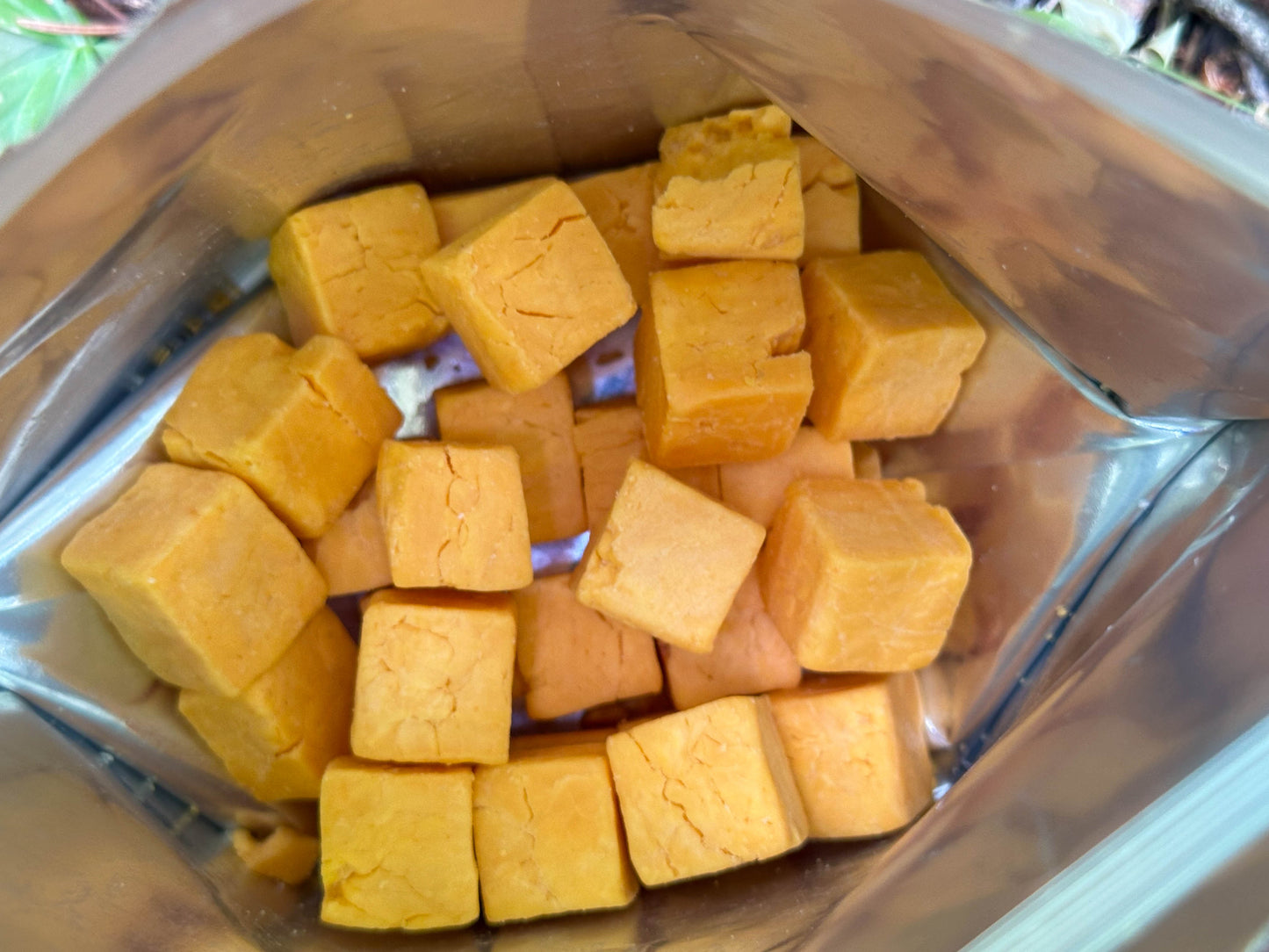 FOUNDATION Outdoors Cheddar Cheese Bites