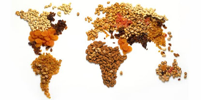 Setton Farm Plantain Chips - Sea Salt | Crispy & Crunchy Kosher Snack (7 oz)