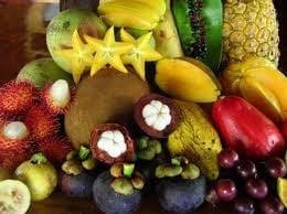 Exotic Fruit Box (5lb)