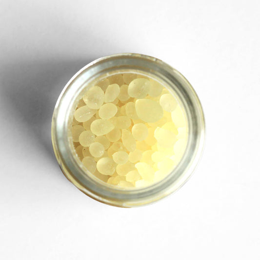 Curio Mastic Dried Spice from Chios, Greece - 6 Pack Case