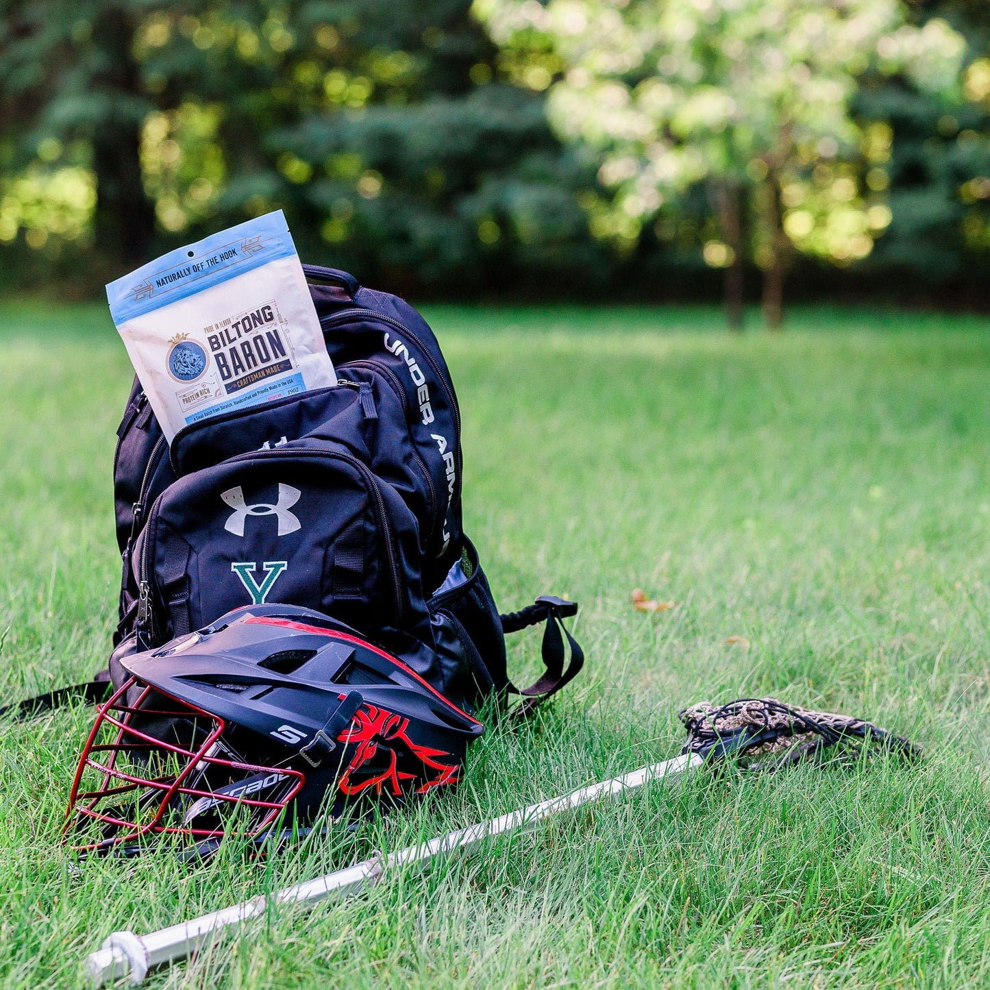 Vampire Defense: Garlic Galore