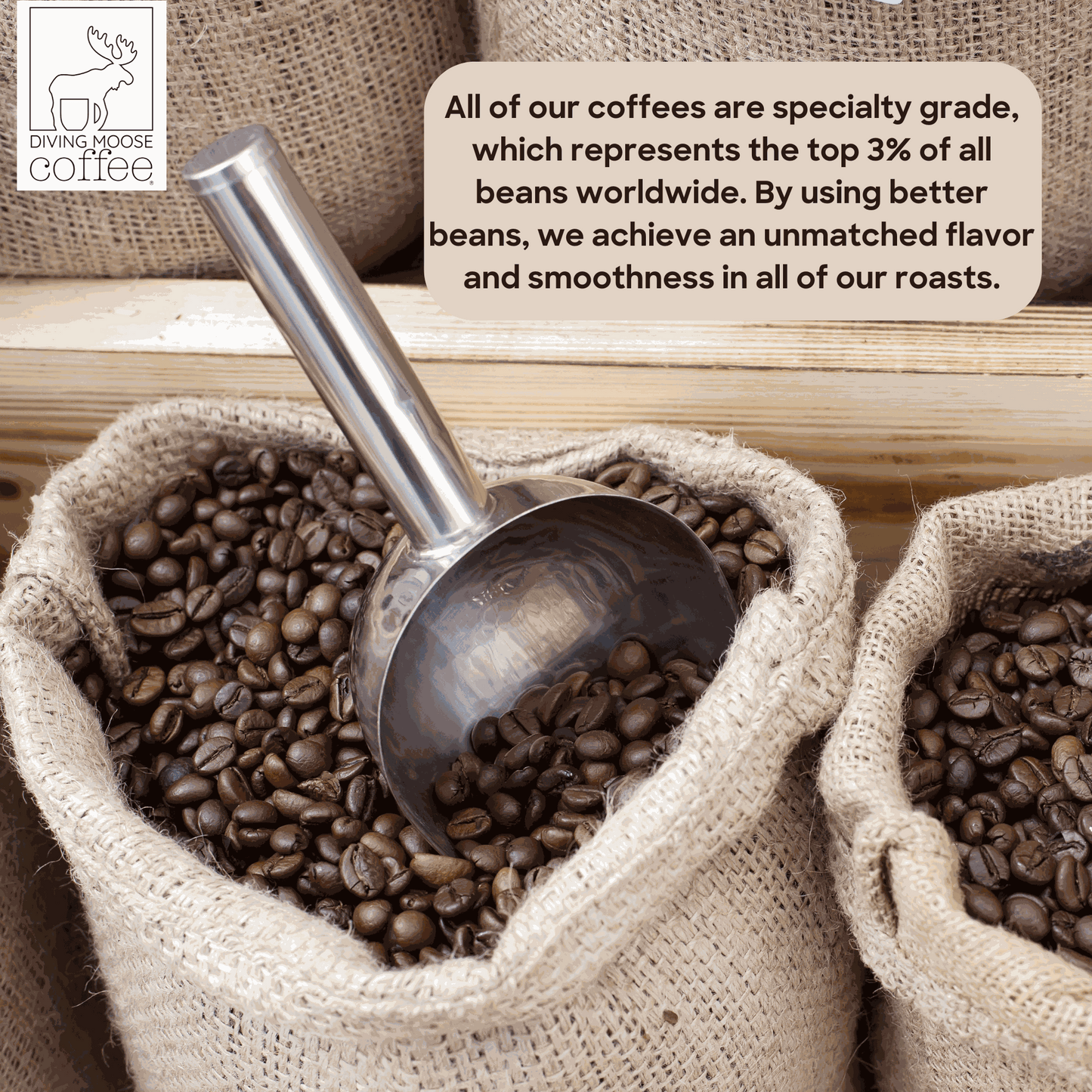 The Koala - Decaf Espresso Dark Roast Blend