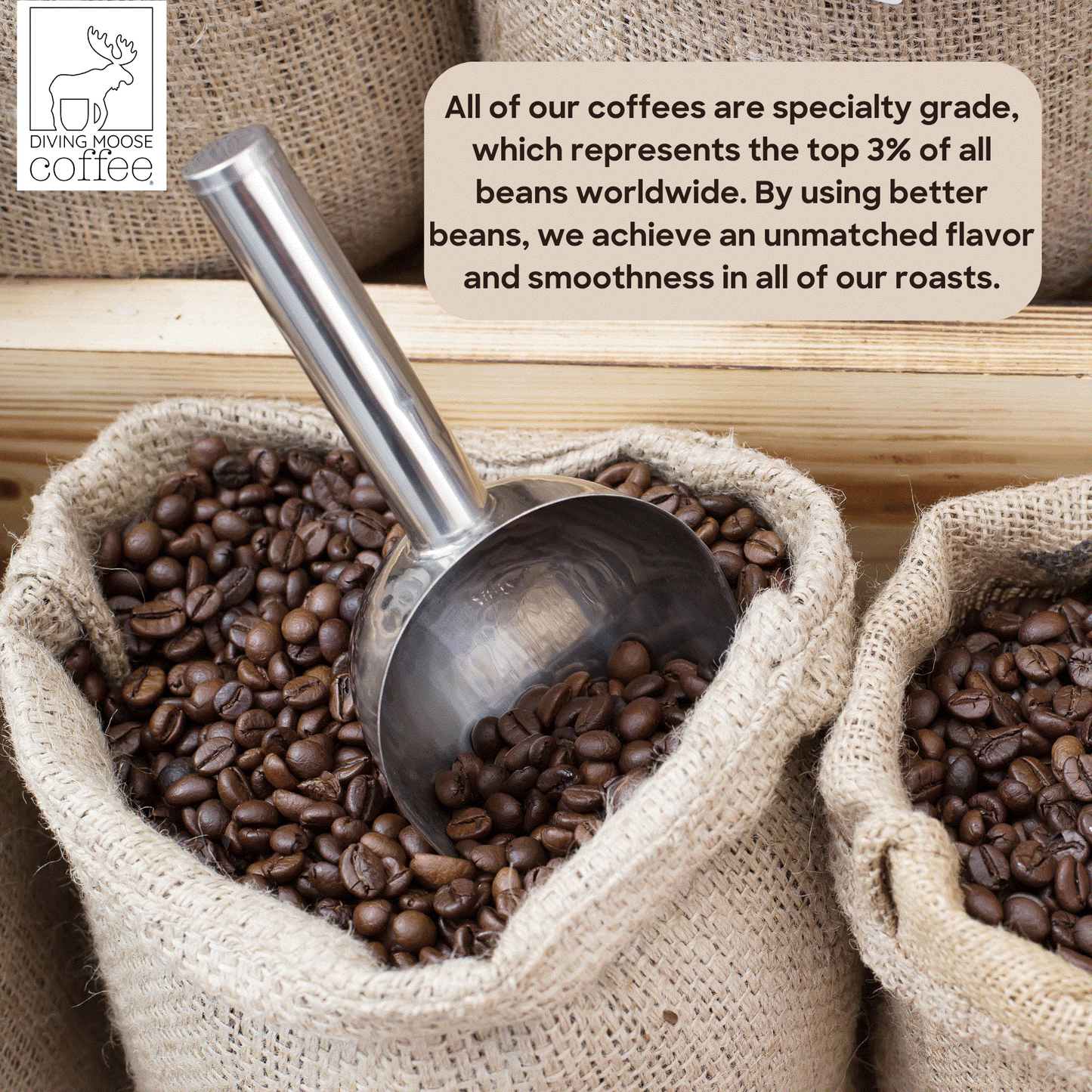 The Emperor Penguin – 12 Single Serve Coffee Pods Light Roast Blend