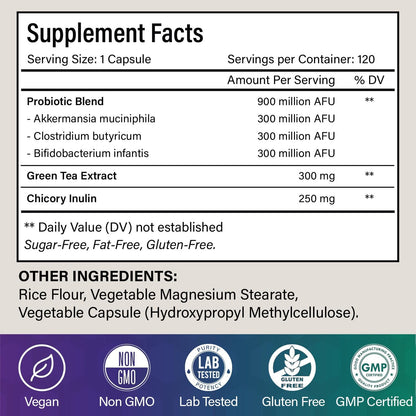 Probiotic Capsules - 900 Million AFU of Akkermansia, Clostridium, Bifidobacterium. Added Prebiotic Chicory and Green Tea Exact.
