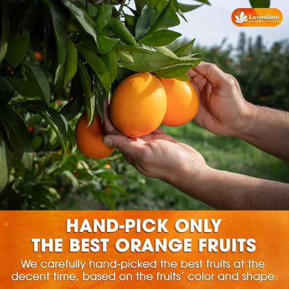 Premium Dried Orange Slices 6oz – Natural Dehydrated Citrus Wheels for Tea, Cocktails, Baking, Holiday Decorations, Potpourri, and Crafts.