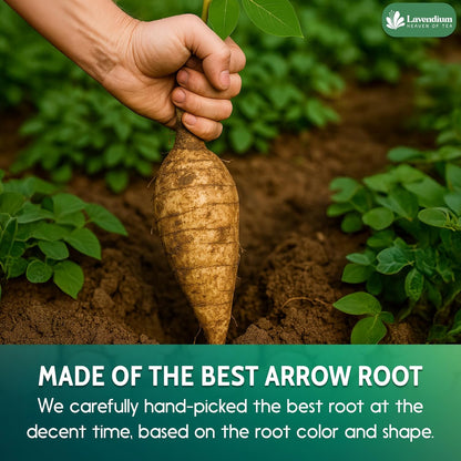 Premium Arrowroot Starch Powder – 17.6oz Resealable Bag, Gluten-Free, Non-GMO, Premium Plant-Based Thickener for Cooking, Baking & Frying.