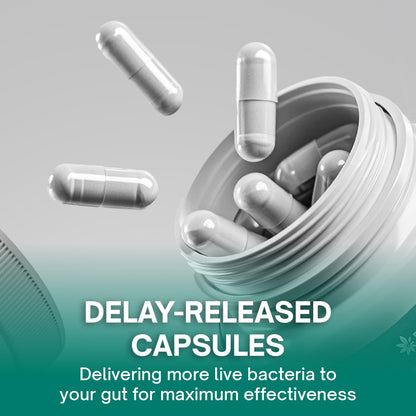 Christensenella Minuta and Akkermansia, Bifidobacterium longum, 8 Probiotic Strains, 50 Billion CFU with Cranberry Extract, Gut Health & Immune Support