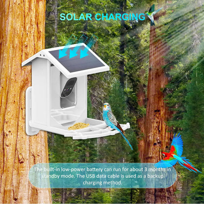 Style Loft Collection CyberStyle ChirpAlert Solar Smart AI Feeder Cam