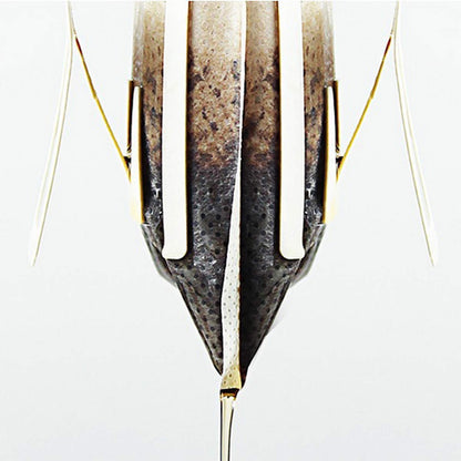 Ayevision 100Pcs Portable Coffee Filter Paper Bag