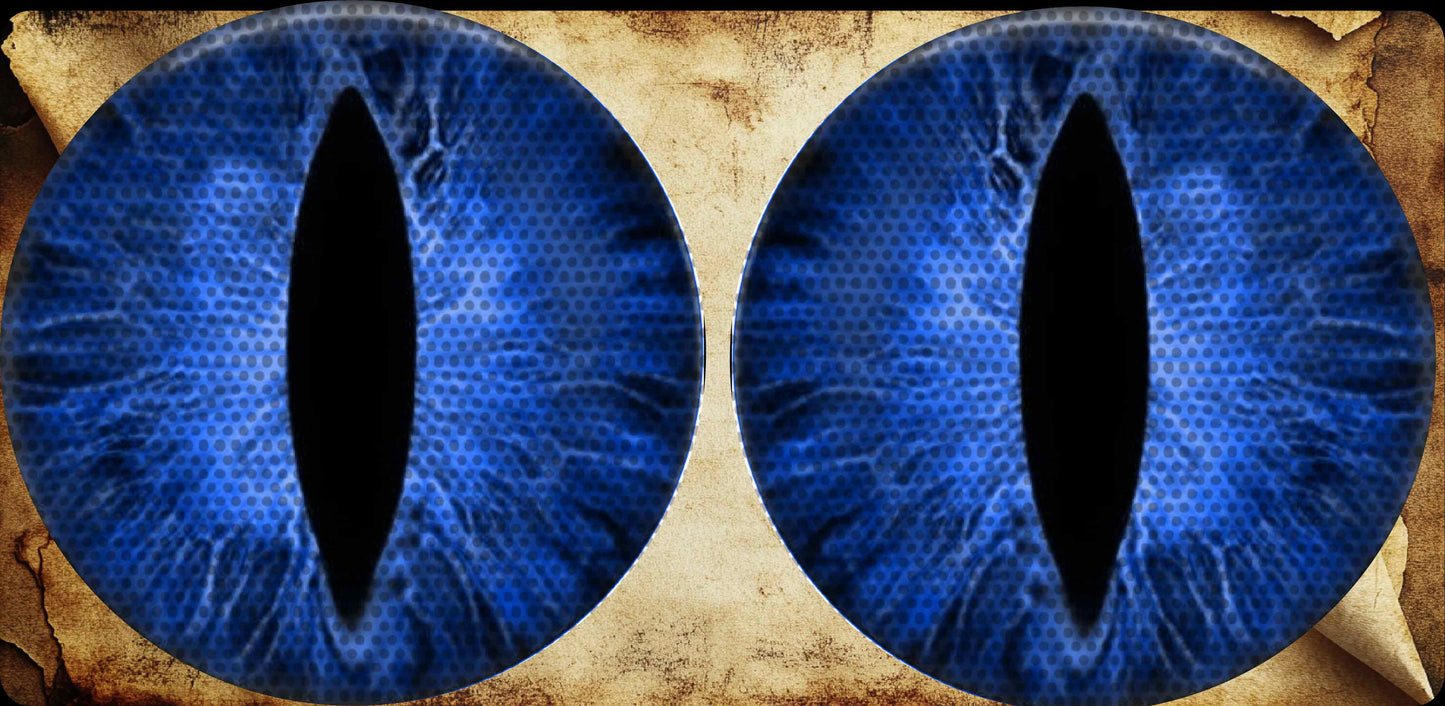 Bluecat eyes for the headlight decals