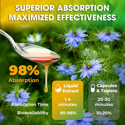 Black Seed Oil Bitters Liquid - 16 fl oz - Premium Herbal Blend with Black Seed Extract, Curcumin (Turmeric Extract), Ashwagandha, Elderberry, Probiotics, Vitamin C, Zinc