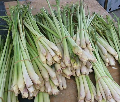 Lemongrass Fresh 8-10 Stalks from Trendoli Fresh.