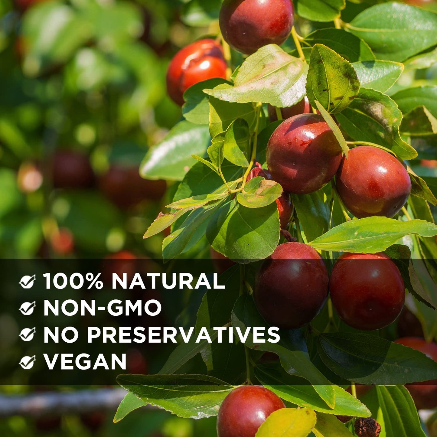 Jujube Date, Red Date, 100% Natural,Health Snack, Dried Fruit, Sweet and Chewy Net weight: 5LB…