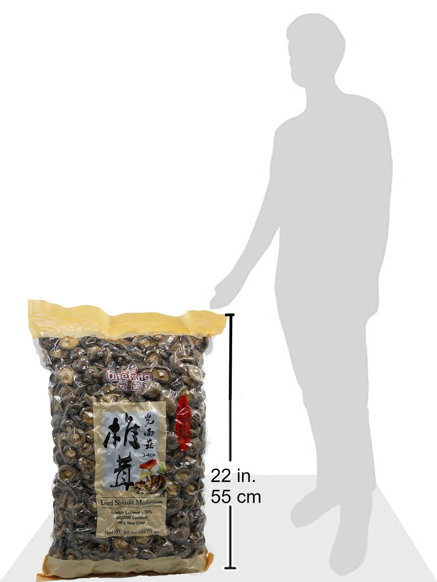 Dried Mushrooms 5 Pound 80 oz