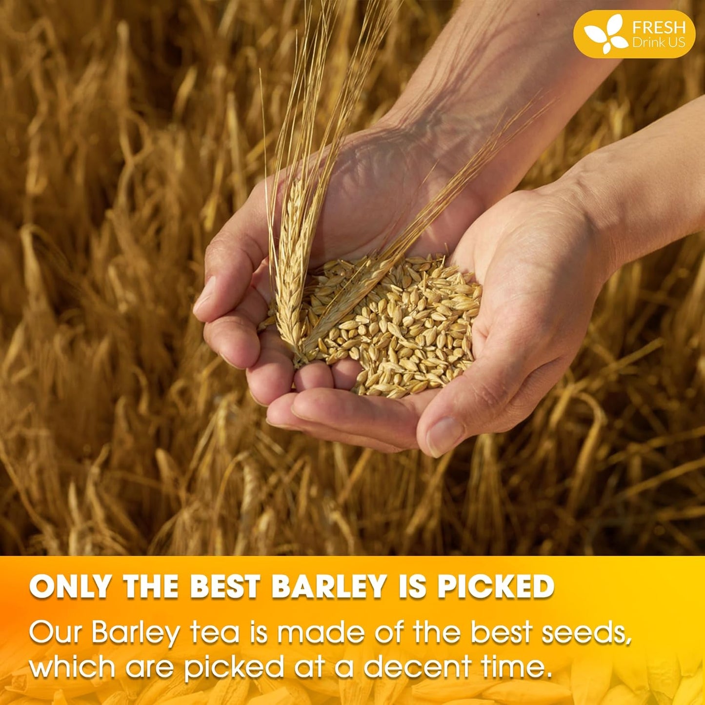 Premium Barley Tea Bags, 100% Natural & Pure from Barley. Loose Barey Herbal Tea. No Sugar, No Caffeine, No Gluten, Vegan.