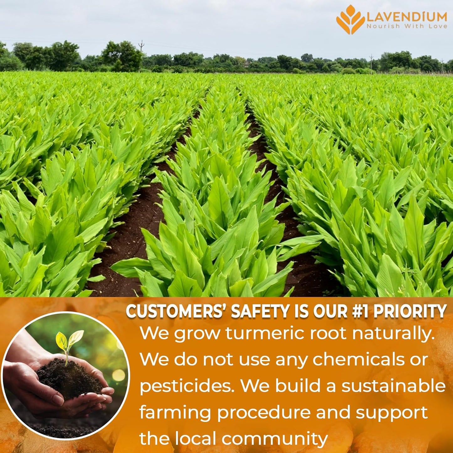 Turmeric Powder, 20oz (1.25 lbs), 100% Natural & Pure, Ground, Seasoning Root Powder, No Additives, No Gluten, Vegan