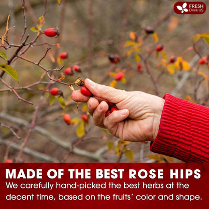Premium Rosehip Tea Bags, 100% Natural & Pure from Rose Hip Fruits.