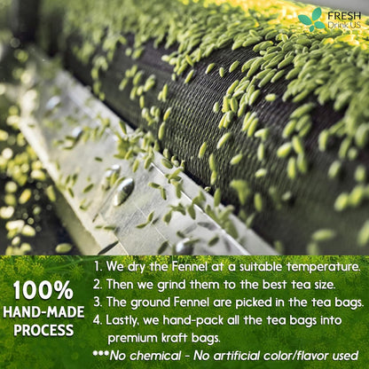 Premium Fennel Tea Bags, 100% Natural & Pure from Fennel Seeds. Fennel Seed Herbal Tea. Fennel Seed Tea. Made with Natural Material Tea Bags. No Sugar, No Caffeine, No Gluten, Vegan.