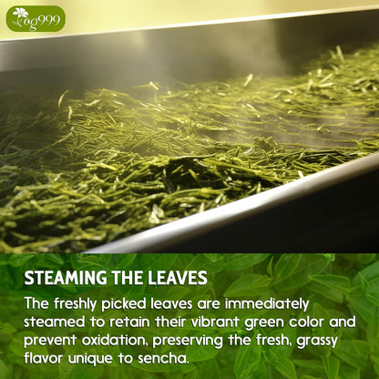 Premium Sencha Green Tea Bags, 100% Natural & Pure from Sencha Green Tea Leaves