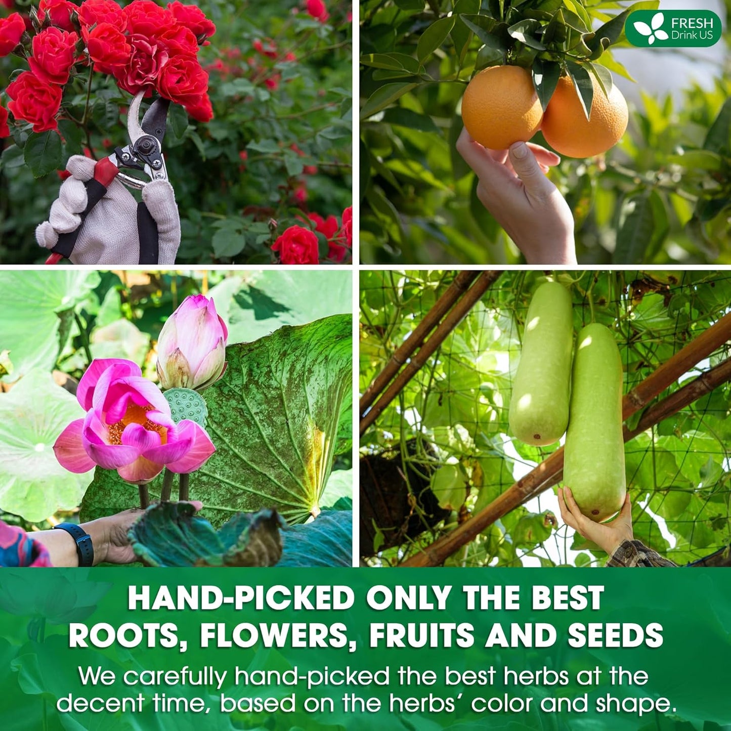 Oil Reducing Tea, Oil Cleansing for Liver, 10 Herbal Ingredients, Traditional Recipe Tea for Liver, 100% Natural, Easy Brewing, Steep Repeatedly (Tea Bags/ Tea Packs)