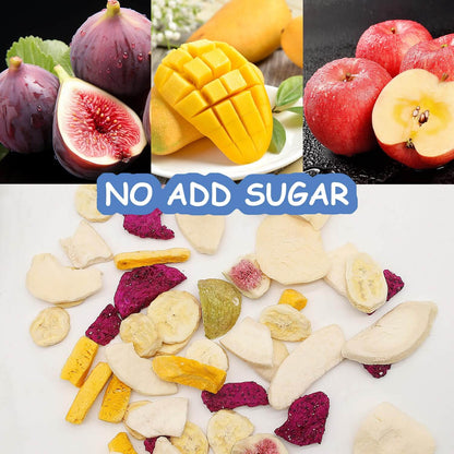 ONETANG Freeze-Dried Mixed Fruit - 12 Single-Serve Packs | Healthy Snack, Non-GMO, No Added Sugar