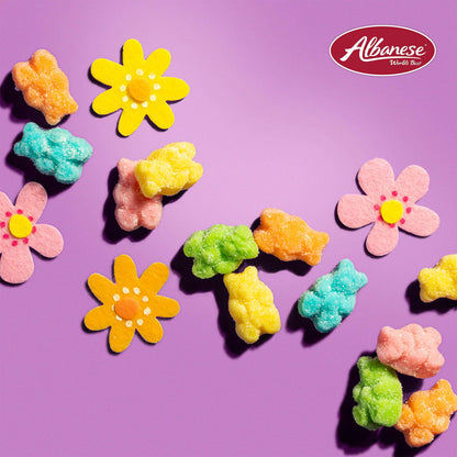 Albanese World's Best Gummi Candy - Bulk Bags - Multiple Varieties Available