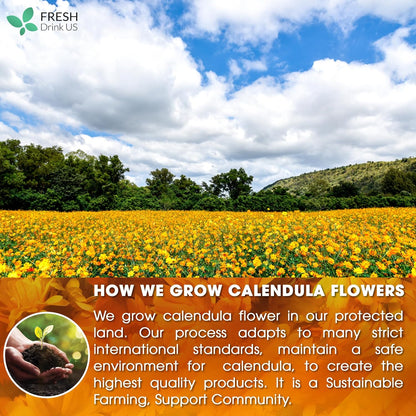 Calendula Tea Bags, 100% Natural and Pure Calendula Flowers, Eco-conscious Tea Bags. Calendula Flower Herbal Tea. No Sugar, No Caffeine, No Gluten, Vegan.