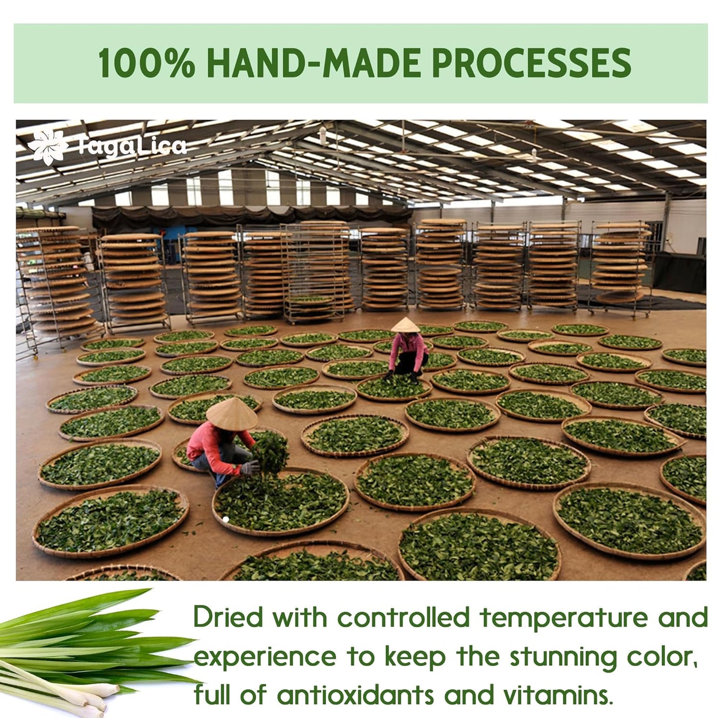 Lemongrass Tea Bags, 100% Natural & Pure Lemongrass leaves, Eco-Conscious Tea Bags, Lemongrass Herbal Tea. Lemongrass Leaf Tea. No Sugar, No Caffeine, No Gluten, Vegan.