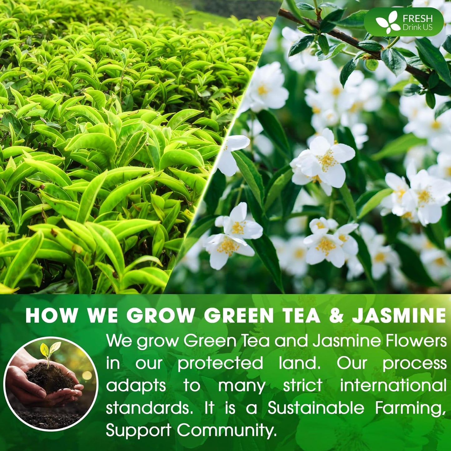 Premium Jasmine Green Tea Bags. Jasmine Green Herbal Tea. Made with Natural Material Tea Bags. No Sugar, No Gluten, Vegan.