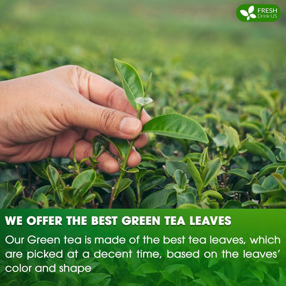 Premium Green Tea Bags, 100% Natural & Pure from Green Tea. Green Herbal Tea. No Sugar, No Gluten, Vegan