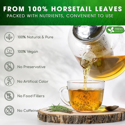Premium Horsetail Leaf Tea Bags, 100% Natural & Pure from Horsetail Loose Leaves Herbal Tea. No Sugar, No Caffeine, No Gluten, Vegan.