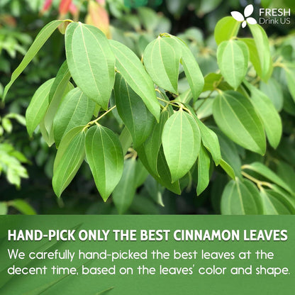 Cinnamon Cut and Sifted Leaf Tea