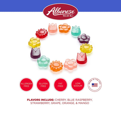Albanese World's Best Gummi Candy - Bulk Bags - Multiple Varieties Available