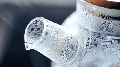 Wilmax Porcelain Thermo Glass Teapot 54 Fl Oz | High temperature and shock resistant