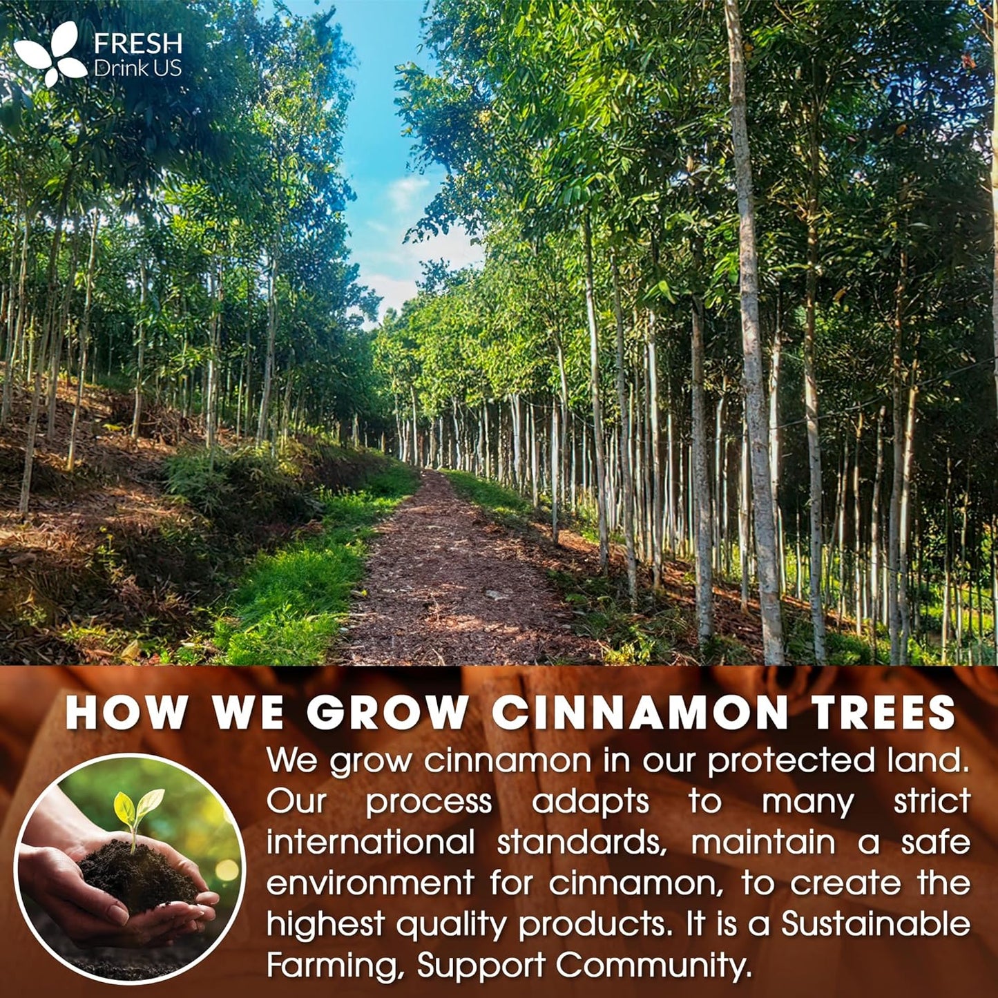 Cinnamon Sticks, Whole Sticks, 100% Natural & Pure Cinnamon Inner Bark, Raw Cinnamon Spice Flavor & Strong Aroma, Cinnamon Spice Herbal Tea, Perfect for Warm Beverages, No Additives, Vegan