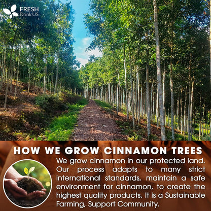 Cinnamon Sticks, Whole Sticks, 100% Natural & Pure Cinnamon Inner Bark, Raw Cinnamon Spice Flavor & Strong Aroma, Cinnamon Spice Herbal Tea, Perfect for Warm Beverages, No Additives, Vegan