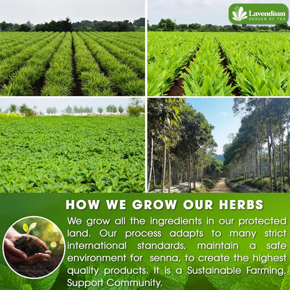 SIimming Detox Tea Caffeine Free - Herbal Tea with Chamomile, Hibiscus Tea & Ginger Root