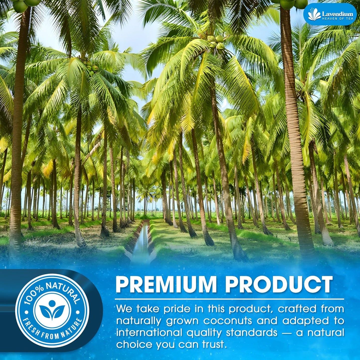 20oz Coconut Milk Powder, 100% Natural, Unsweetened, Perfect for Cake, Coffee, Tea, Creamer Alternative, No Additives, No Gluten, Vegetarian.