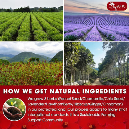 Pressure Balance Herbal Tea | Blend of 9 Natural Herbs | Caffeine-Free, Sugar-Free, Vegan-Friendly