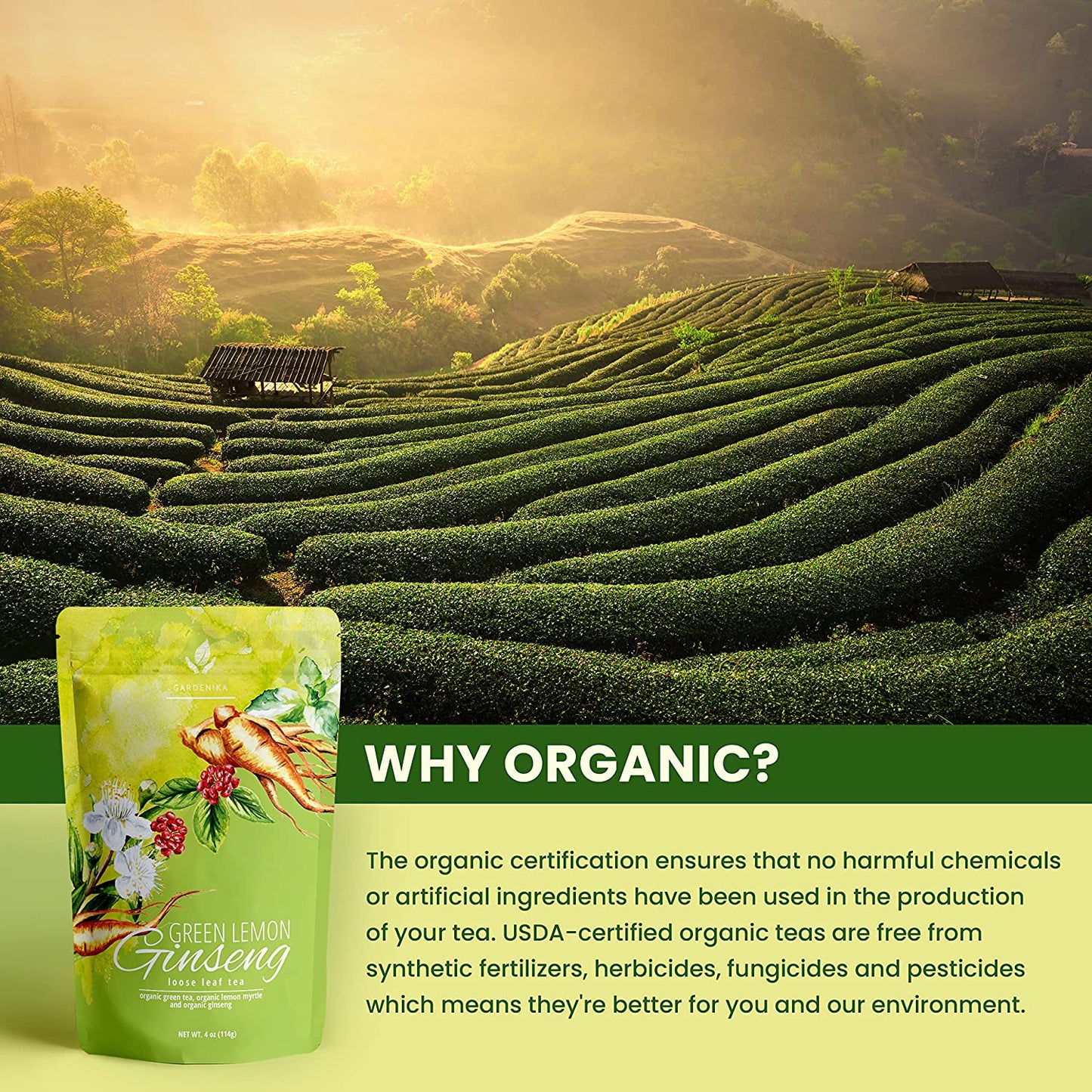 Green Lemon Ginseng Tea, Loose Leaf, USDA Organic, Kosher – 4 Oz (113g)