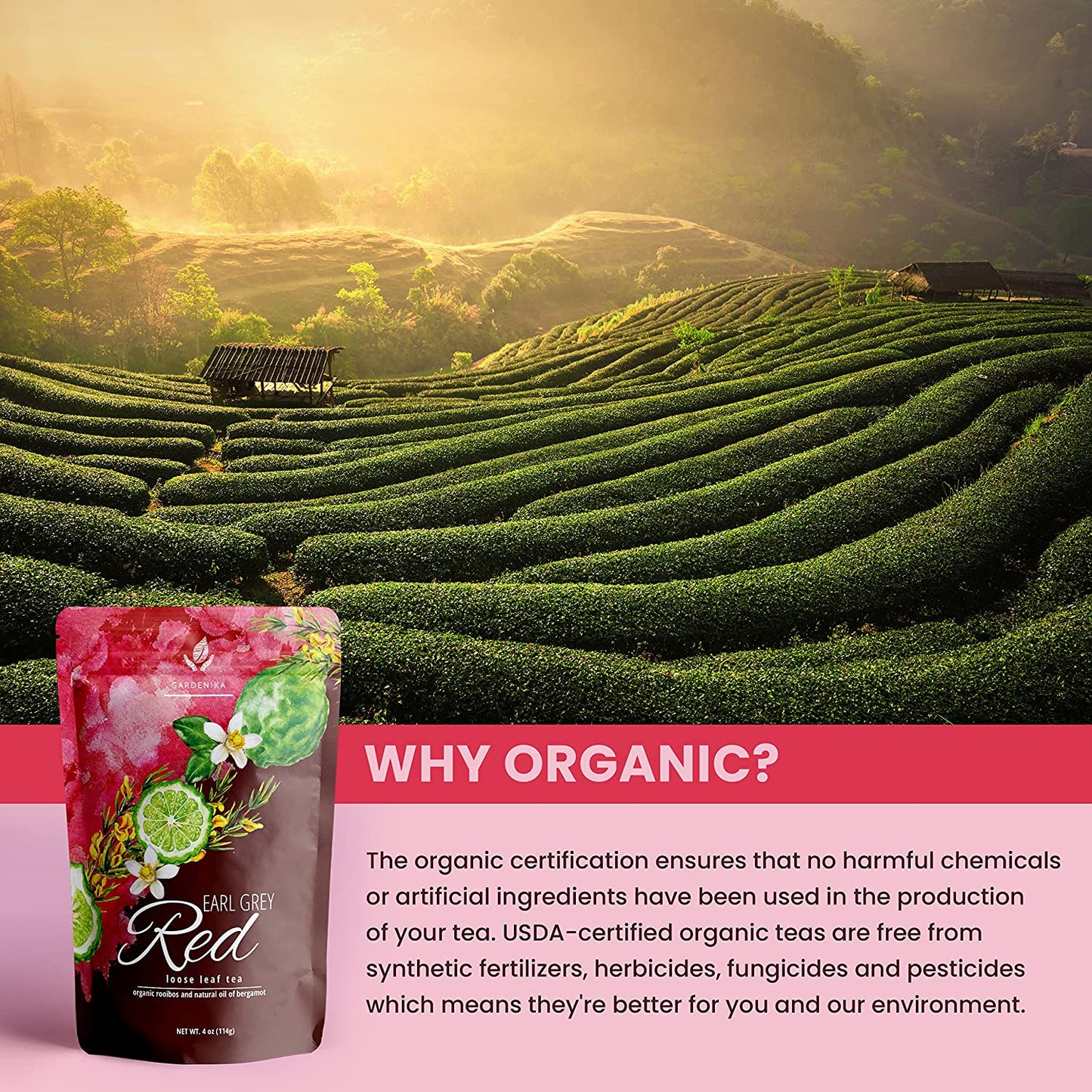 Earl Grey Rooibos Red Tea, Loose Leaf, USDA Organic, Kosher, Caffeine-Free – 4 Oz (113g)