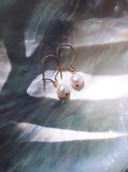 Tiny White Freshwater Pearl Drop Earrings - Gold Ipo
