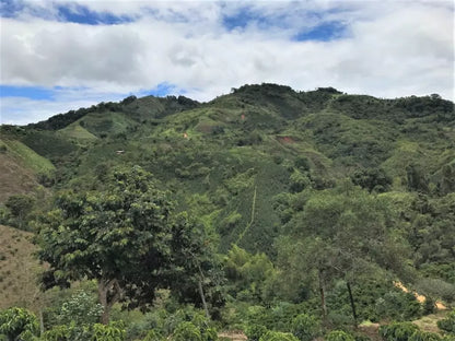 Colombia | Aromas Del Sur | Decaf