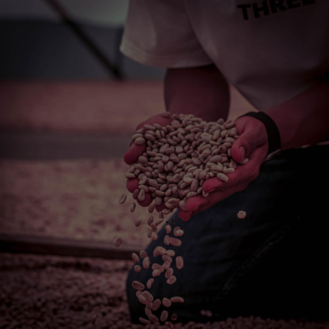 Pink Bourbon - Washed