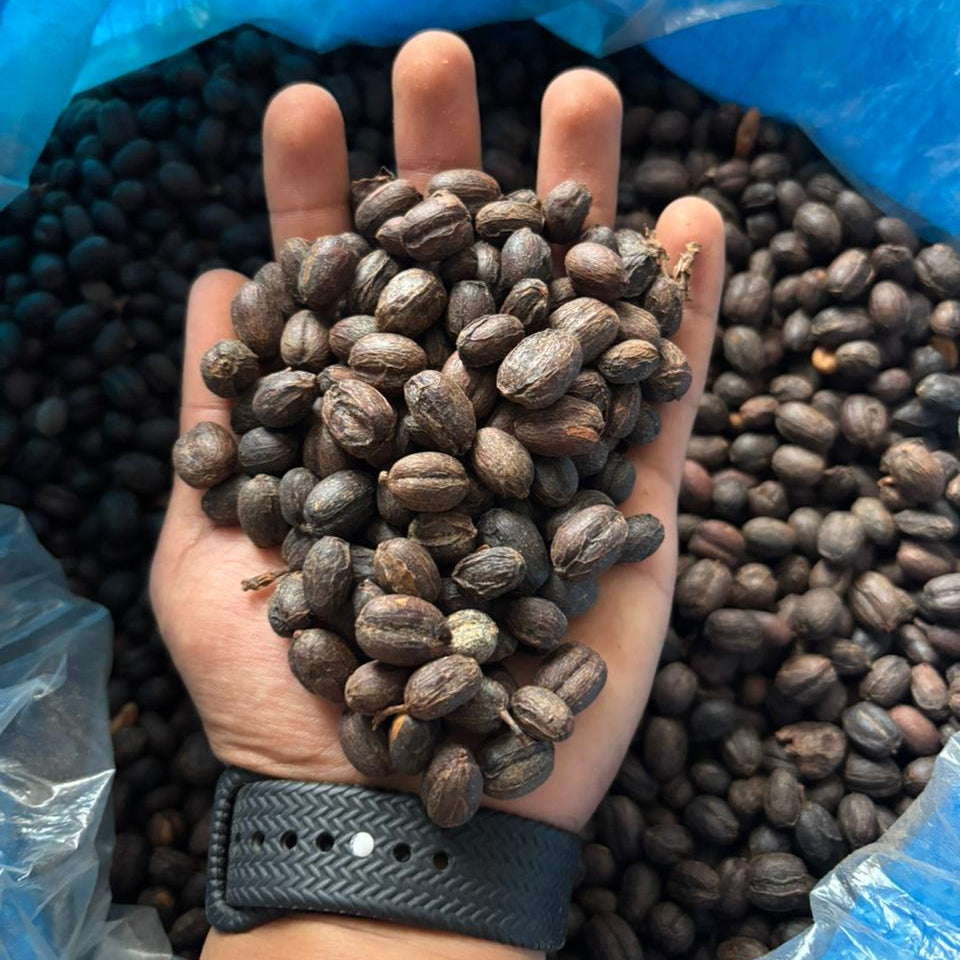 Pink Bourbon - Washed Espresso